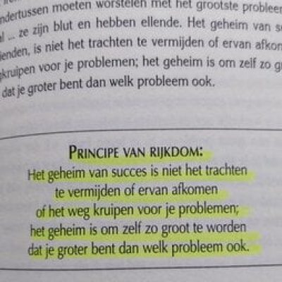 op deze afbeelding zie je een quote uit het boek Het miljonairsbrein ontrafeld